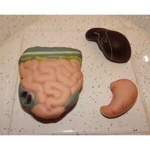 Vintage Plastic Human Organ Miniatures liver kidney intestines oddity curiosity